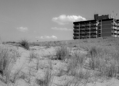  Dunes de sable #3